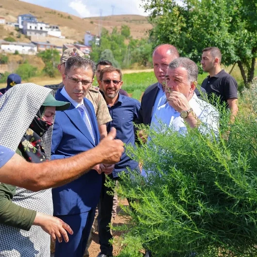 Bayburt'ta Tarhun Hasadı Vali Eldivan'ın Katılımıyla Başladı