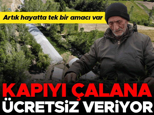 Bayburtlu çiftçi, ata tohumlarını yaşatmak için fide dağıtıyor