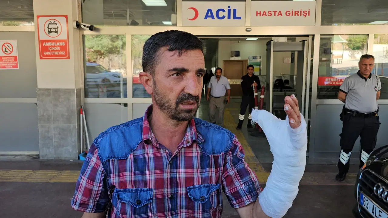 Bayramda kurban kesimi: Şanlıurfa'da 232 yaralı
