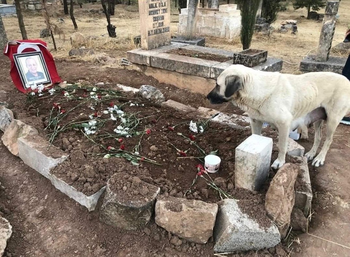 Bekir'in 6. Ölüm Yıldönümü: Siyasette İz Bırakan Bir Kişilik