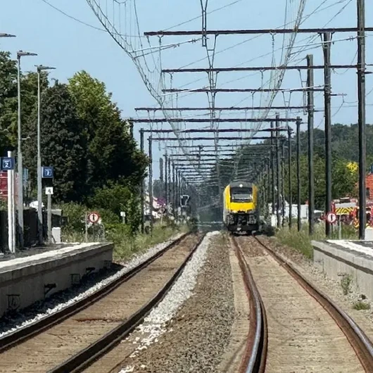 Belçika'da Aşırı Sıcak Alarmı: Tren Seferleri İptal Edildi