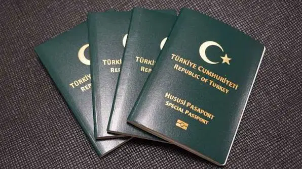 Belirli Meslek Gruplarına Yeşil Pasaport Hakkı İçin Meclis'te Kanun Teklifleri