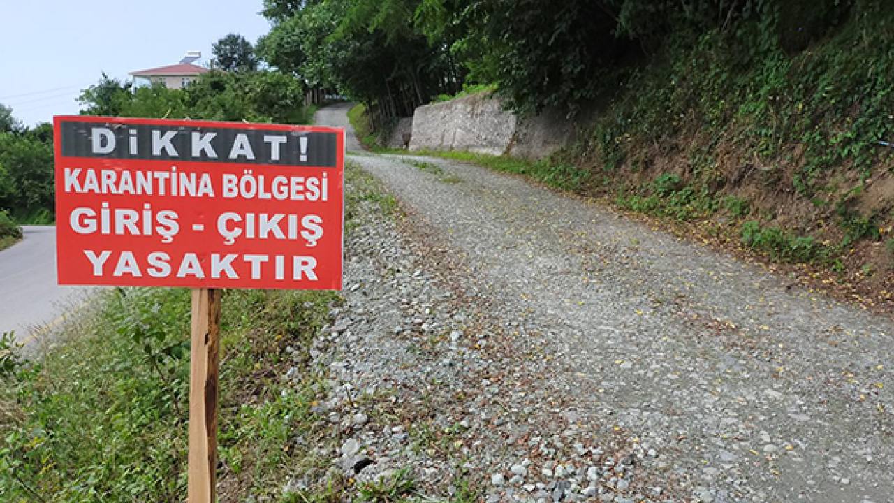 Bergama'da Mavi Dil Hastalığı Alarmı: 15 Mahalle Karantinada