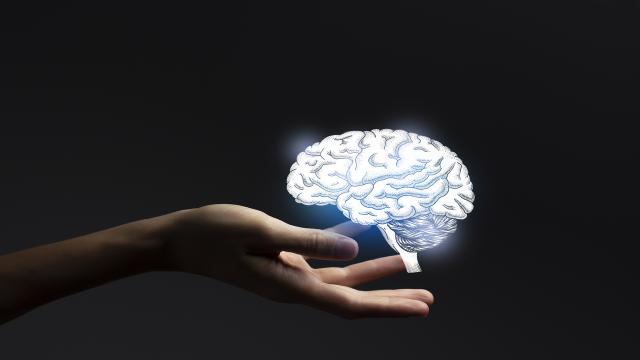 Bilim Dünyasında Devrim: Internet ile Beyin İmplantı Kontrolü - 8000 km Uzaktan Deney