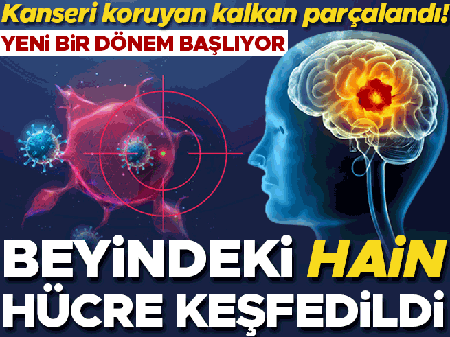Beyindeki 'hain' hücre deşifre edildi: Kanser kalkanı yıkıldı