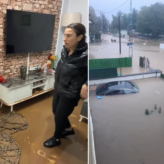 Beykoz'da 60-70 Yıllık Sakin: Böyle Bir Şey Görmedim
