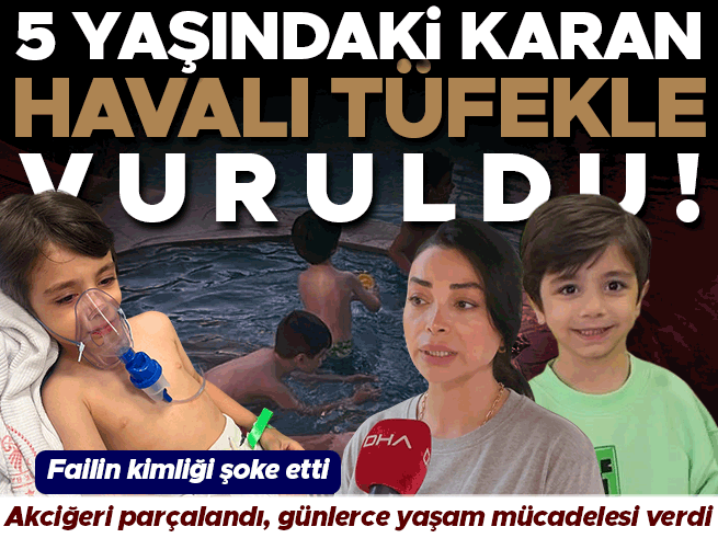 Beylikdüzü'nde Havalı Tüfekle Vurulan Karan, 16 Günlük Yaşam Savaşını Kazandı