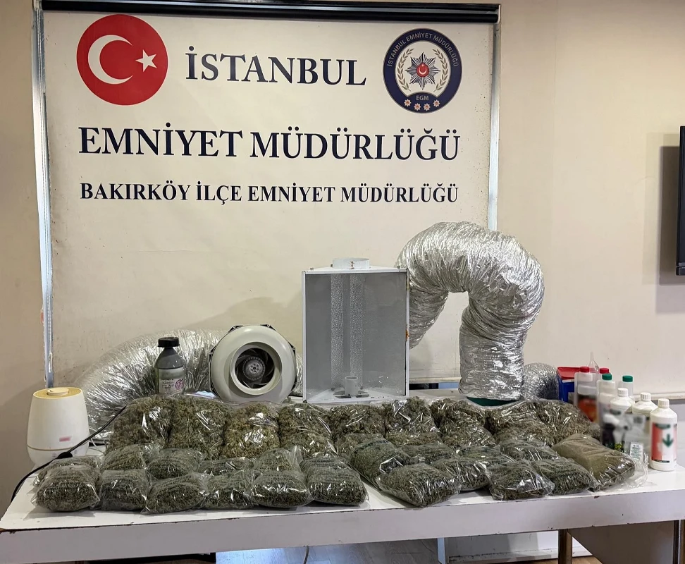 Sera kurup uyuşturucu yetiştirdiler: Beylikdüzü’nde baskın