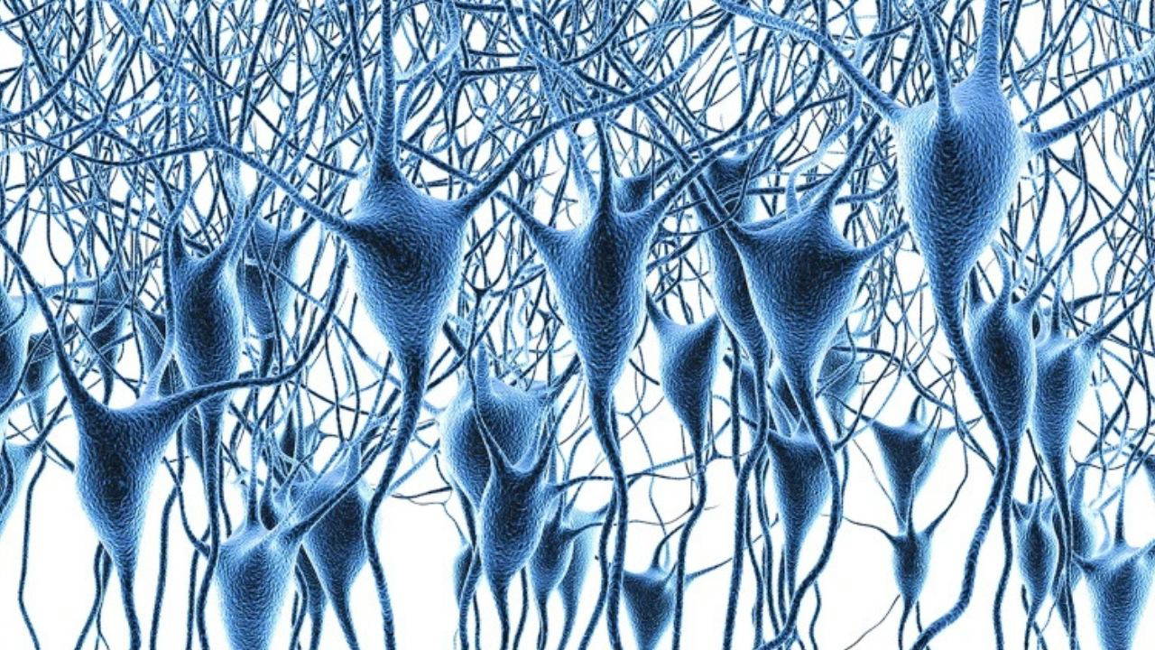 Beynin Gen Haritası: 6 Milyon Hücrede Alzheimer İzleri
