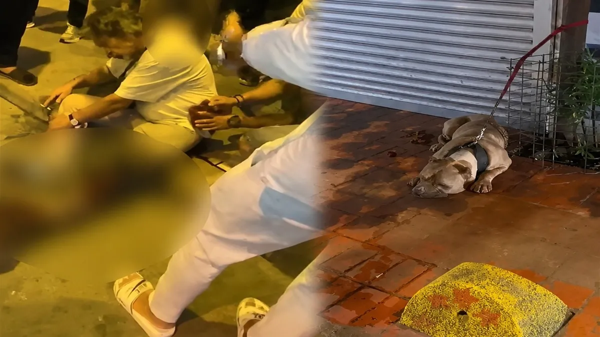 Beyoğlu'nda pitbull dehşeti: 'Köpeğine sahip çık' diyene bıçak