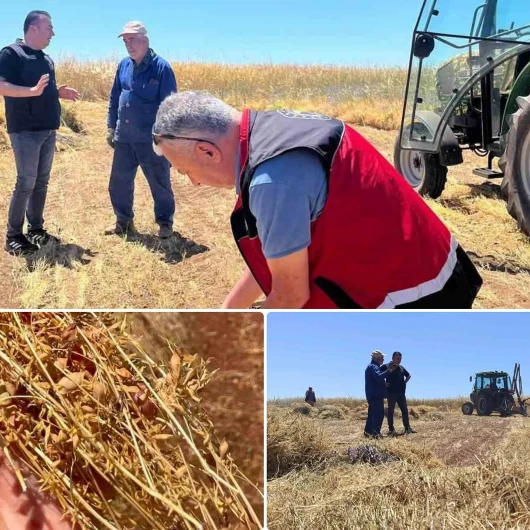 Beyşehir'in kırmızı altını Avrupa ve Orta Doğu'ya açılıyor