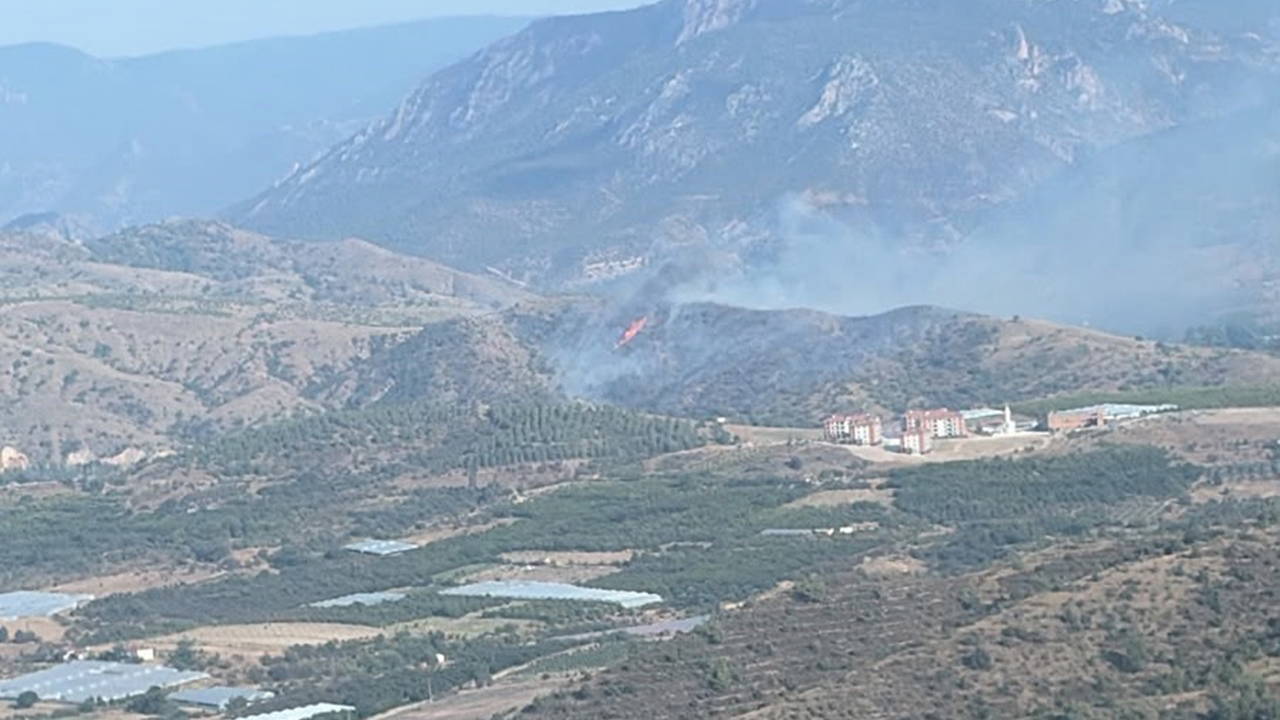 Bilecik'te Orman Yangını Kontrol Altına Alındı