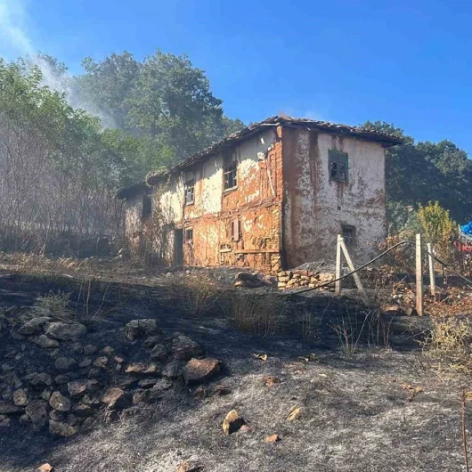 Bilecik'te Otluk Alandan Ormana Sıçrayan Yangın Söndürüldü