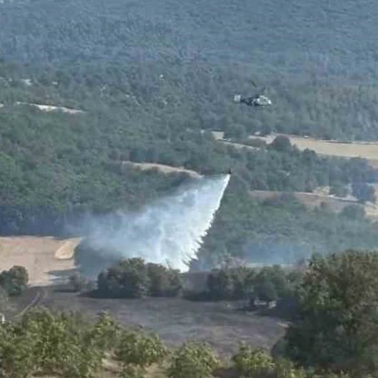 Bilecik Söğüt'te Orman Yangını Kontrol Altına Alındı