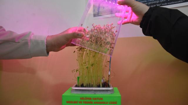 Bilecikli meslek lisesi öğrencileri atık parçalardan akıllı bitki yetiştirme sistemi geliştirdi