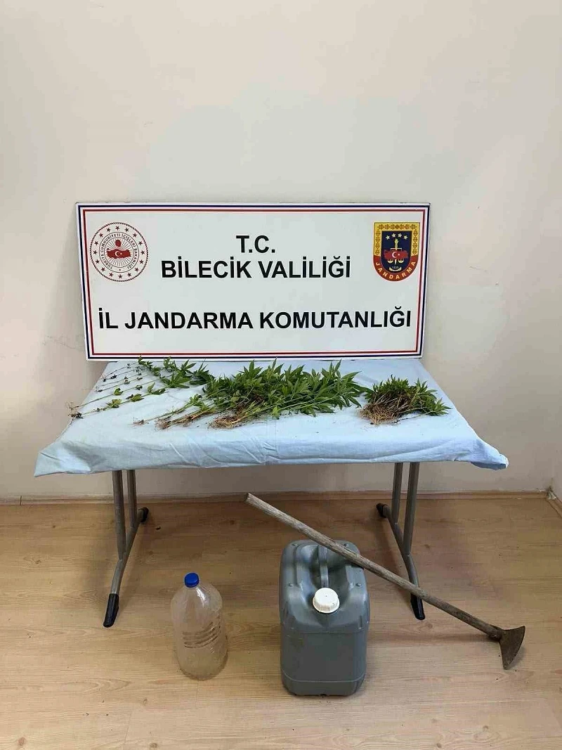 Bilecik'te kenevir eken şüpheli sulama sırasında suçüstü yakalandı