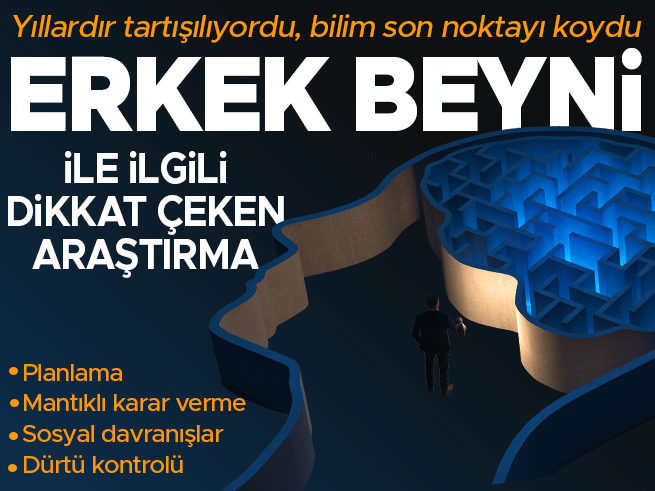 Bilim İnsanları Doğruladı: Erkek Beyni 32 Yaşına Kadar Gelişiyor