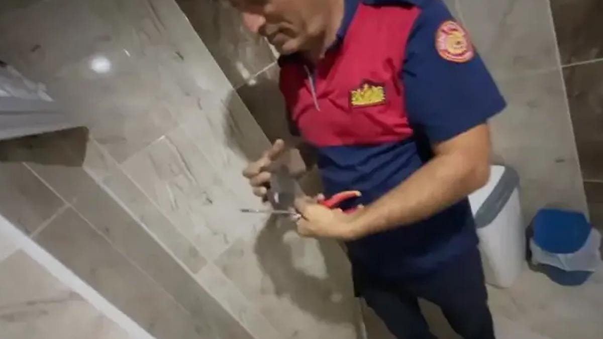 Bingöl'de mahsur kalan sığırcık itfaiye tarafından kurtarıldı