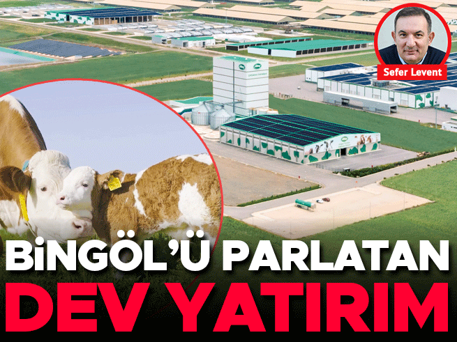 Bingöl’ün kaderini değiştiren yatırım: OSB ve istihdam hamlesi