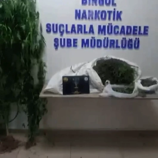 Bingöl'de uyuşturucu operasyonu: 1 şüpheli tutuklandı