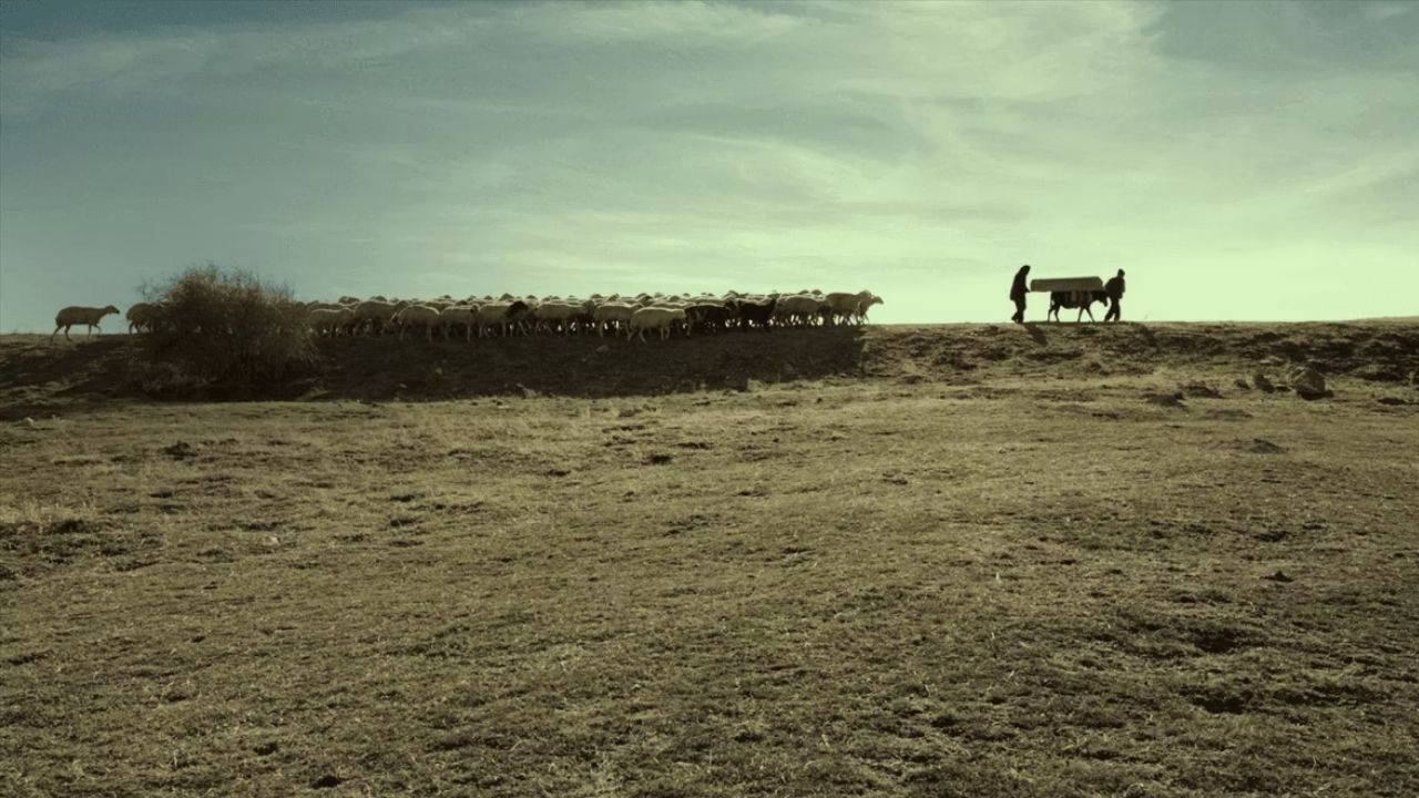 Bir Tutam Karanfil Filmi: Konusu ve Oyuncuları