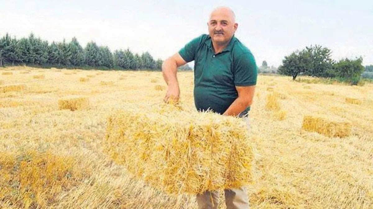 Bizi Ayakta Tutan Vatan Aşkı: Gazilerimizin Kahramanlık Hikayeleri