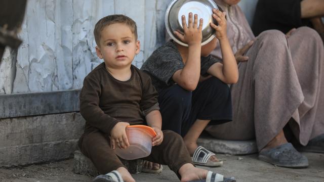 BM Dünya Gıda Programı 500 Bin Gazzeliye Yardımı Kesecek