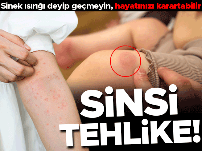 Böcek Isırığı Sandığınız Tehlike: Lyme Hastalığı Hayatınızı Karartabilir