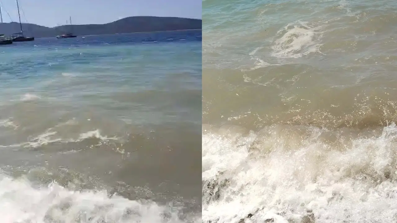 Bodrum'da deniz kirliliği skandalı: Savcılık soruşturma başlattı