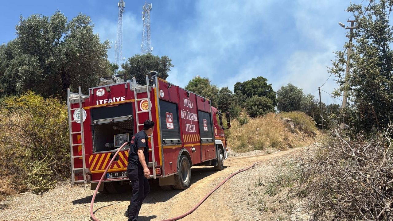 Bodrum'da maki yangını: Elektrik telleri alev aldı, yerleşim yeri tehdit altındaydı