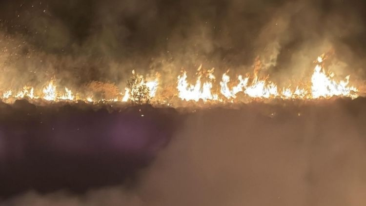 Bodrum'da makilik alanda yangın paniği: 2,5 saatte söndürüldü