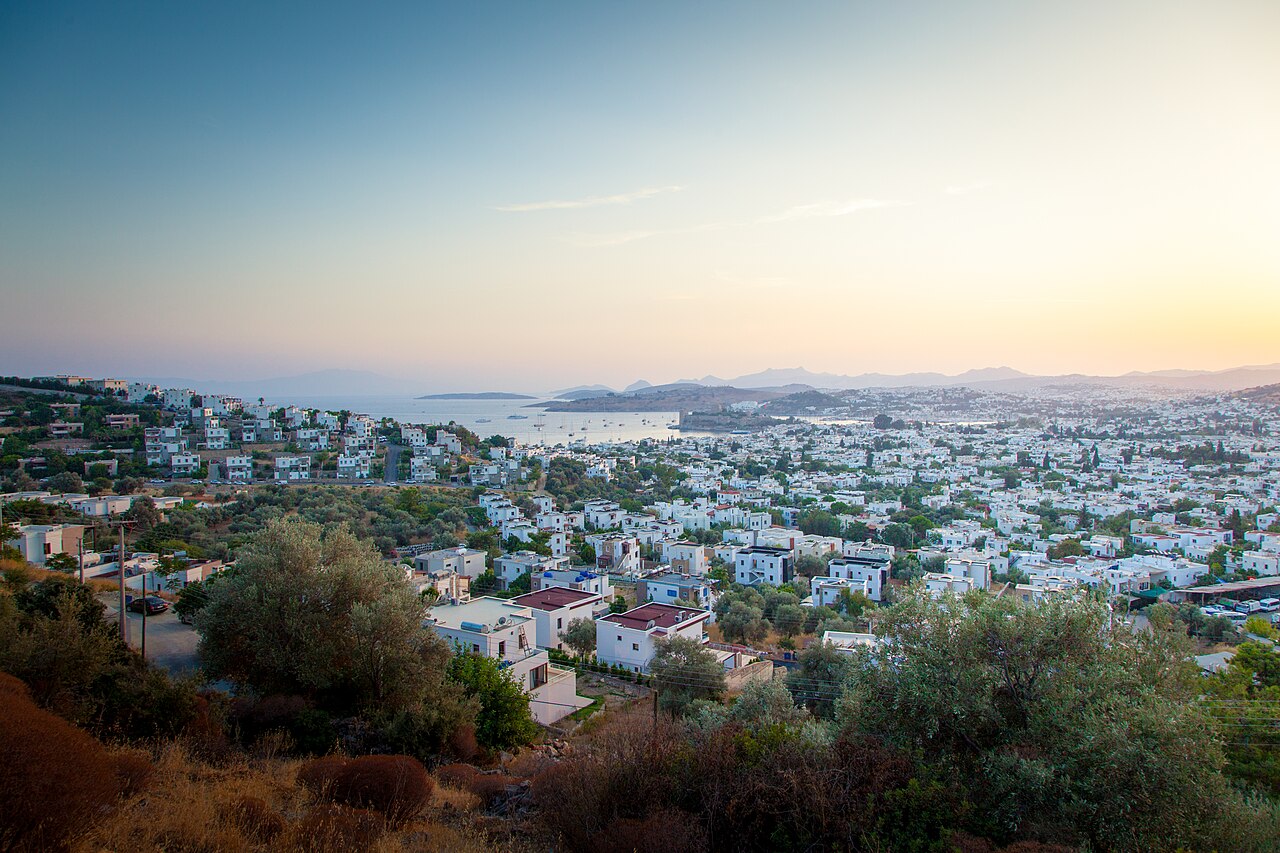 Bodrum'da makilik alanda yangın: Havadan ve karadan müdahale sürüyor