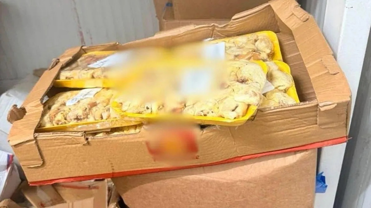 Bodrum'da sağlık denetimi: 1.2 ton son kullanma tarihi geçmiş ürün imha edildi