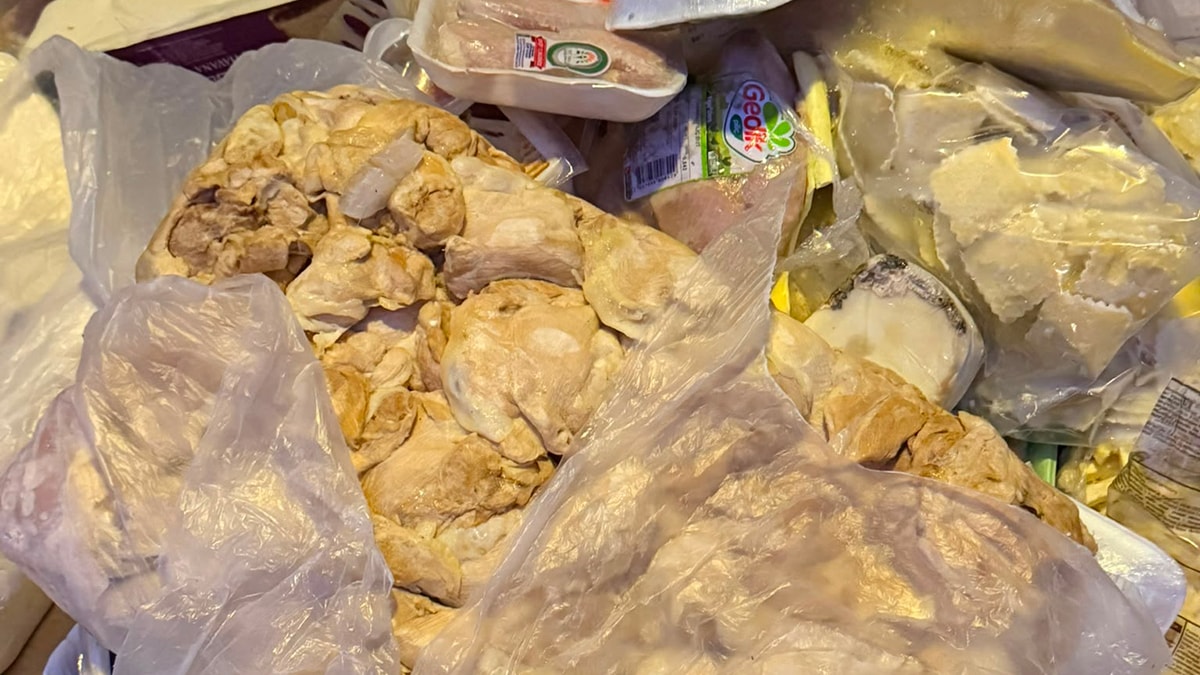 Bodrum'da 4 ton sağlıksız gıda ele geçirildi