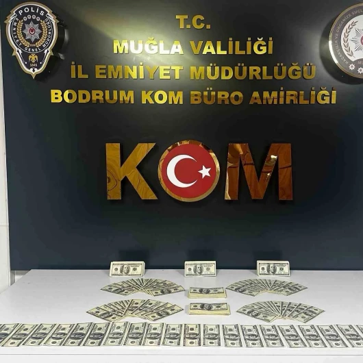 Bodrum'da 46 Bin 200 Dolarlık Sahte Banknot Operasyonu