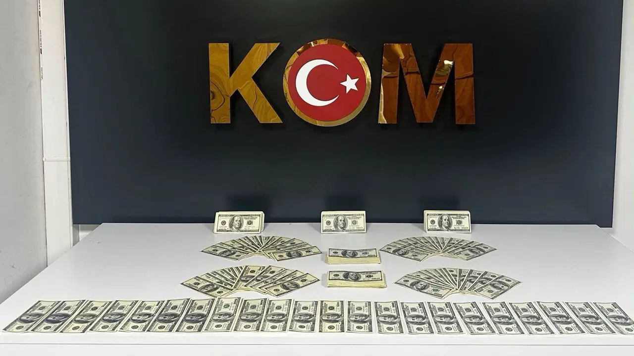 Bodrum'da 46 Bin 200 Sahte Dolar Ele Geçirildi: 1 Tutuklama