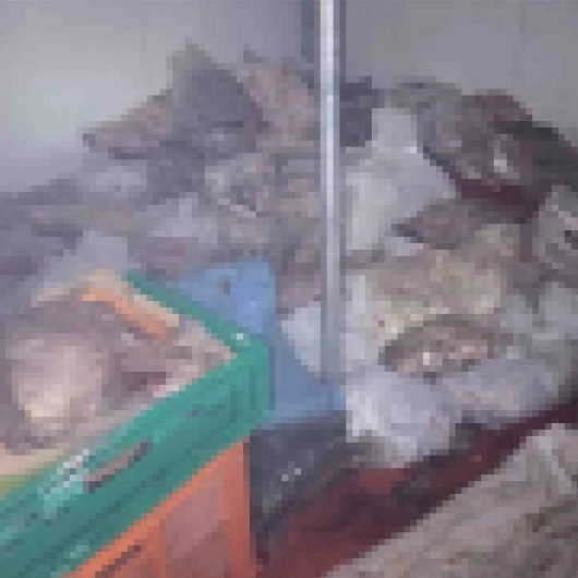 Bodrum'da Bozuk Et Operasyonu: 400 Kilo Ele Geçirildi