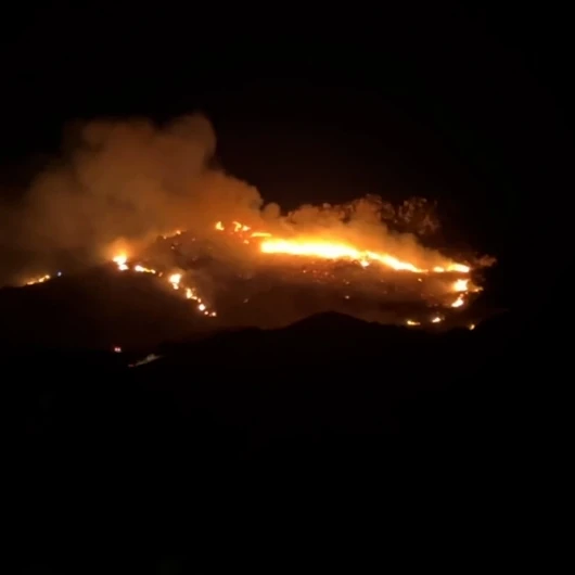 Bodrum'da Makilik Yangını: Rüzgar Tehlikesi Büyüyor