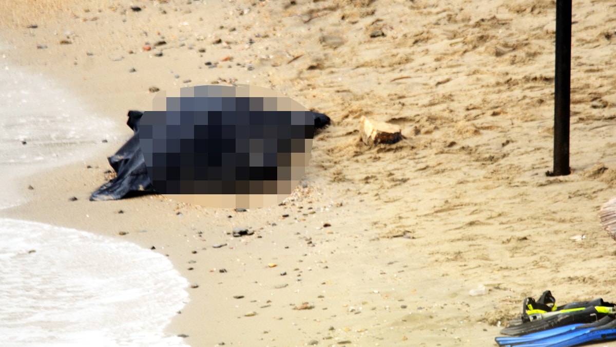 Bodrum'da tatilciler cesetle karşılaştı: Plajda şok anları