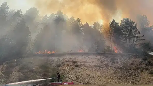 Bolu Göynük'te Orman Yangını: Ekipler Havadan ve Karadan Müdahale Ediyor