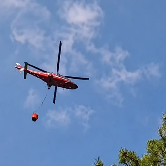 Bolu Göynük'te orman yangını: Havadan ve karadan müdahale