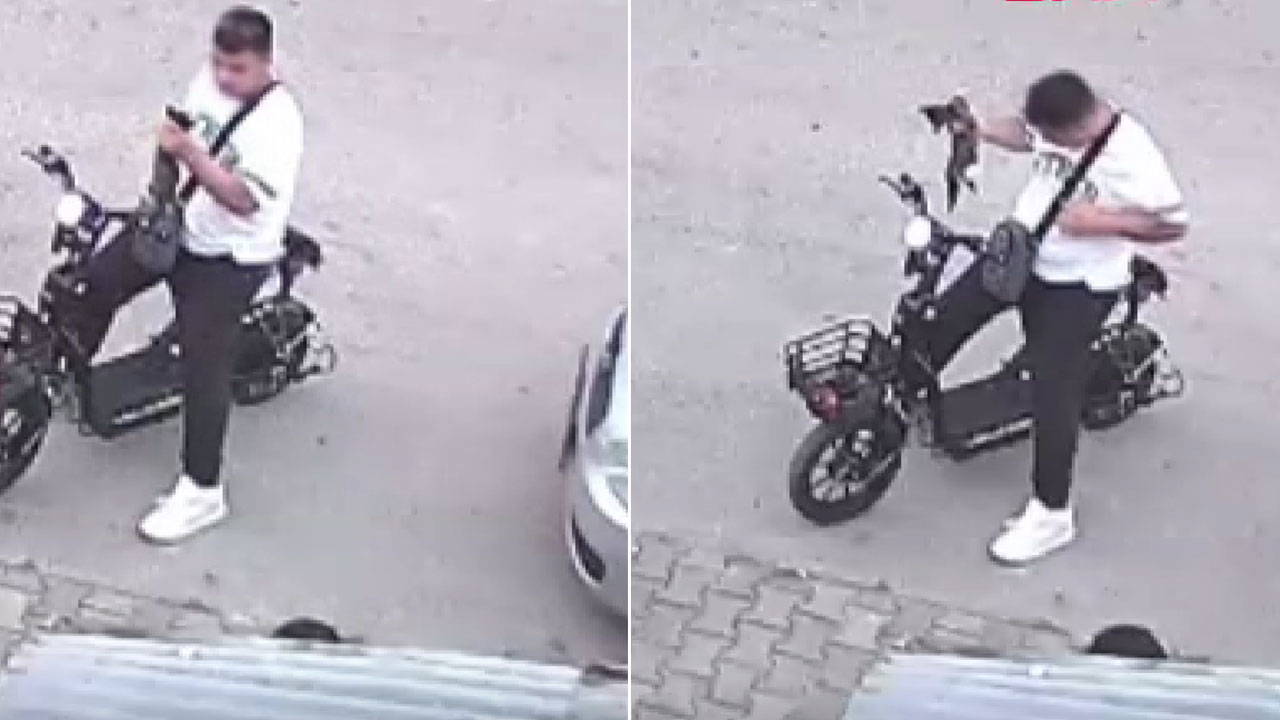 Bolu'da yavru kediyi boğarak öldüren şüpheli güvenlik kamerasında