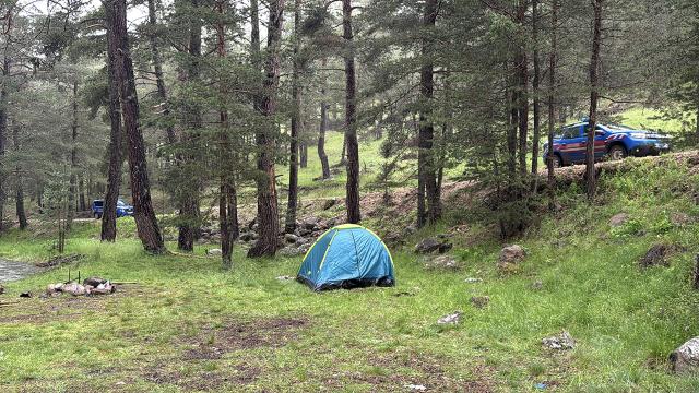 Bolu'da Piknikçilere Yıldırım Düştü: 3 Yaralı, 1'i Ağır