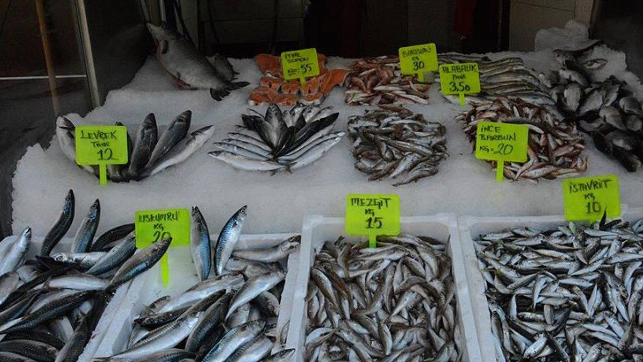 Bolu'da Palamut Bereketi: Tanesi 125 TL'den Kapışıldı