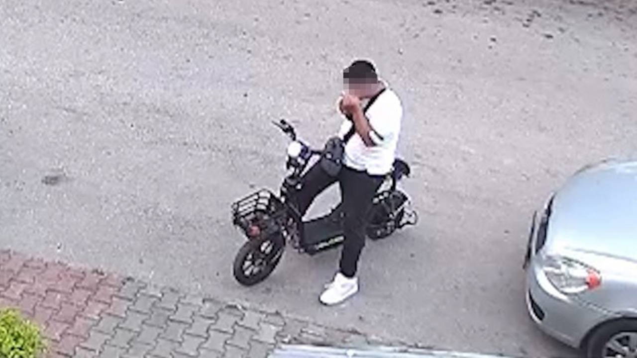 Bolu'da yavru kediyi öpüp boğan 15 yaşındaki çocuk gözaltında