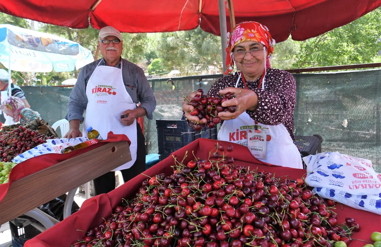 Bornova Beşyol'da Kiraz Festivali: Konser, Yarışma ve Coşku
