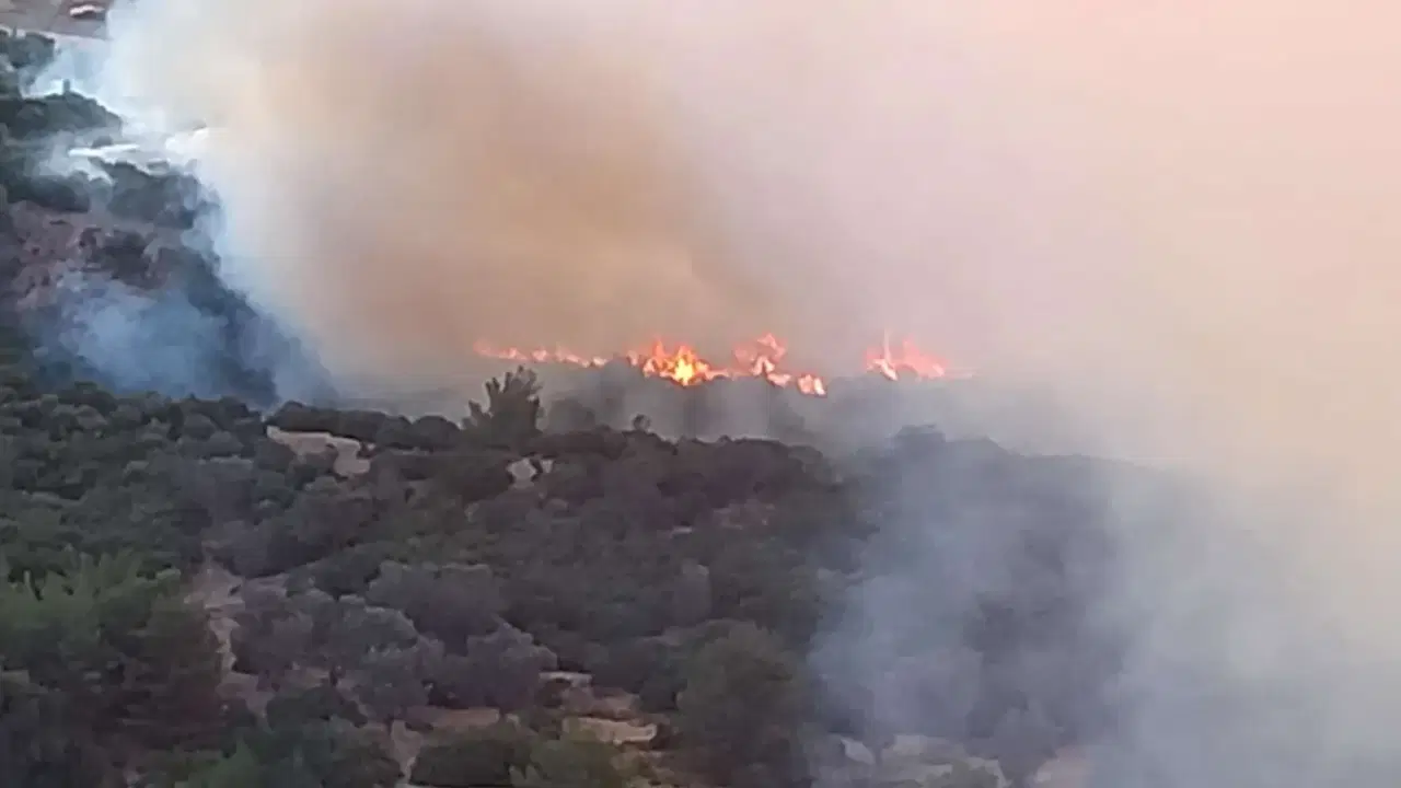 Bornova Homeros Vadisi'nde orman yangını kontrol altına alındı