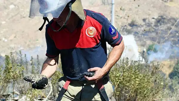 Bornova'da orman yangını: Itfaiye bukalemunu kurtardı