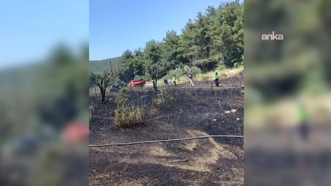 Bornova'daki ot yangını itfaiye ve gönüllülerin desteğiyle söndürüldü
