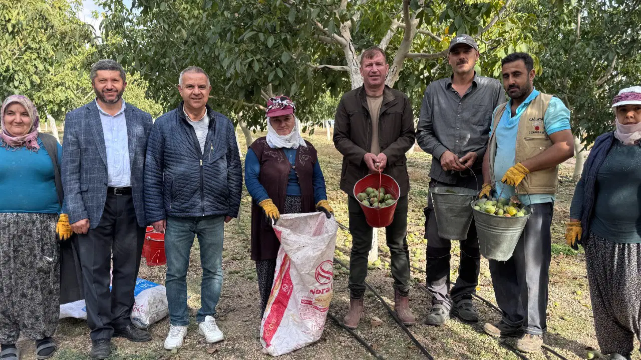 Burada yetişmez" diyenleri utandırdı! 10 yılda 15 tonluk dev servet çıkardılar